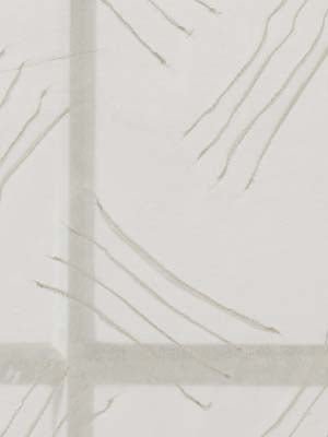 PINJARA | IVORY - Drapery - Fabric
