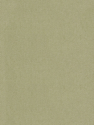 SUCCESS | WILLOW