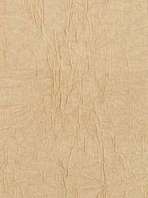 TAFFETA CRUSH | ECRU - Multi-purpose