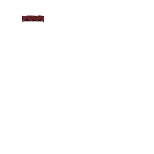 SOLID LIP CORD | RASPBERRY