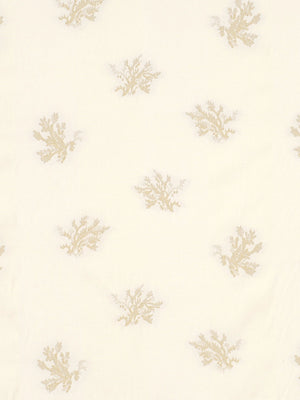 SEA CORAL | CHAMPAGNE