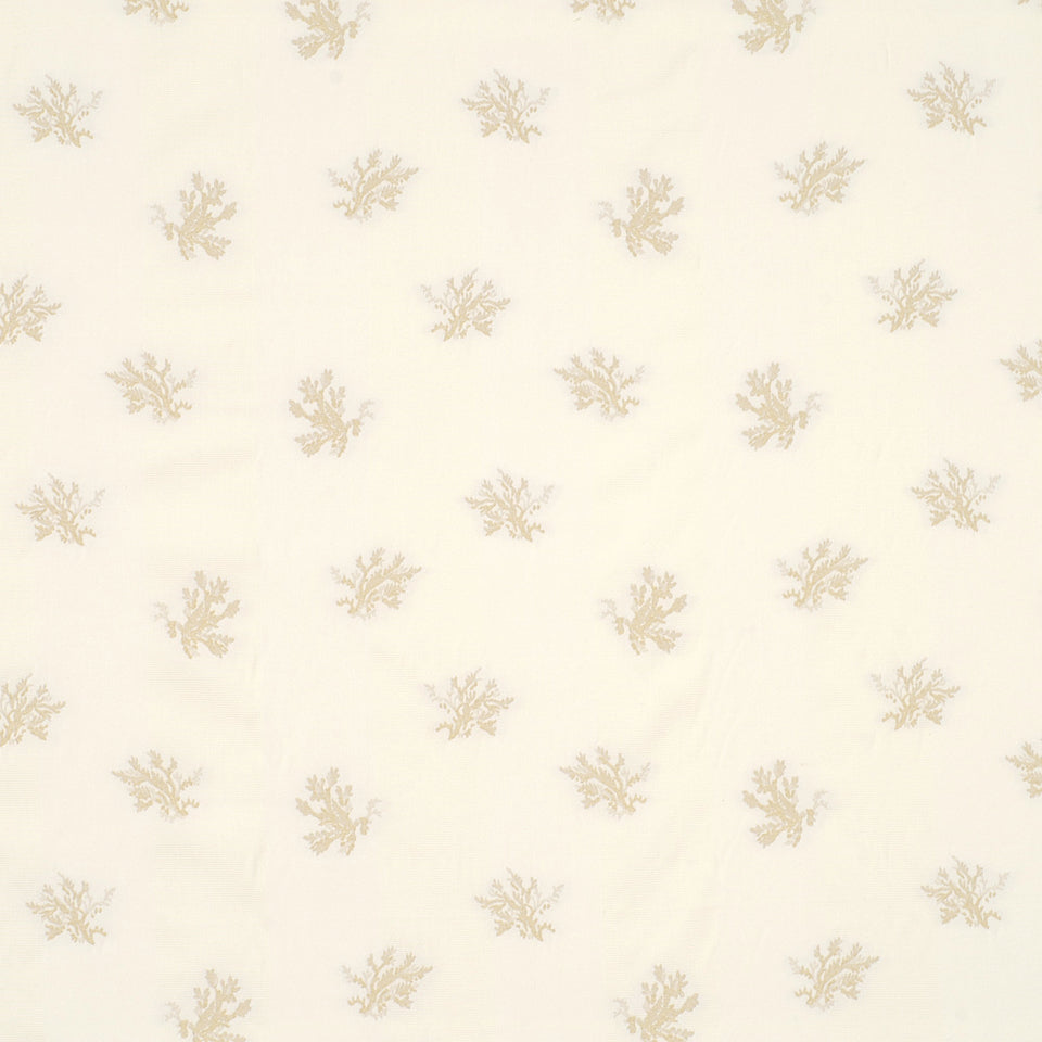 SEA CORAL | CHAMPAGNE