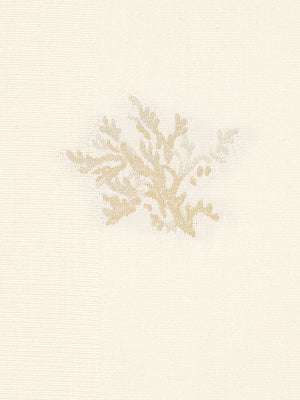 SEA CORAL | CHAMPAGNE