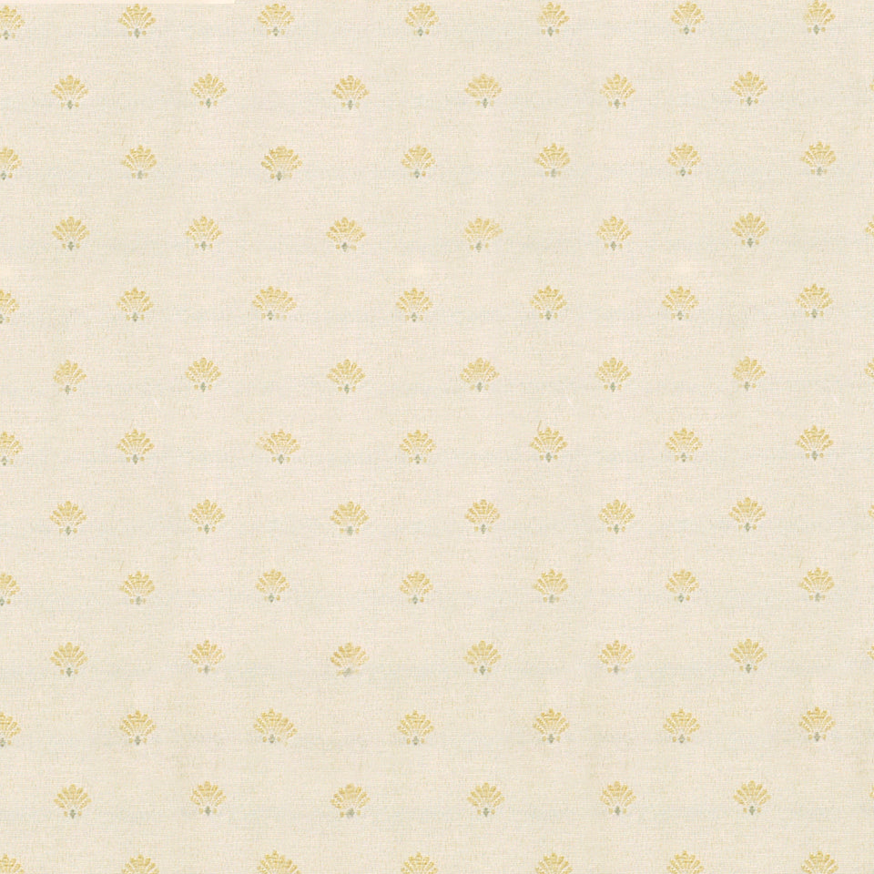 SCALLOP SHELL | CHAMPAGNE