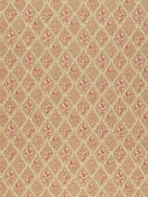 SPICEBUSH | VINTAGE