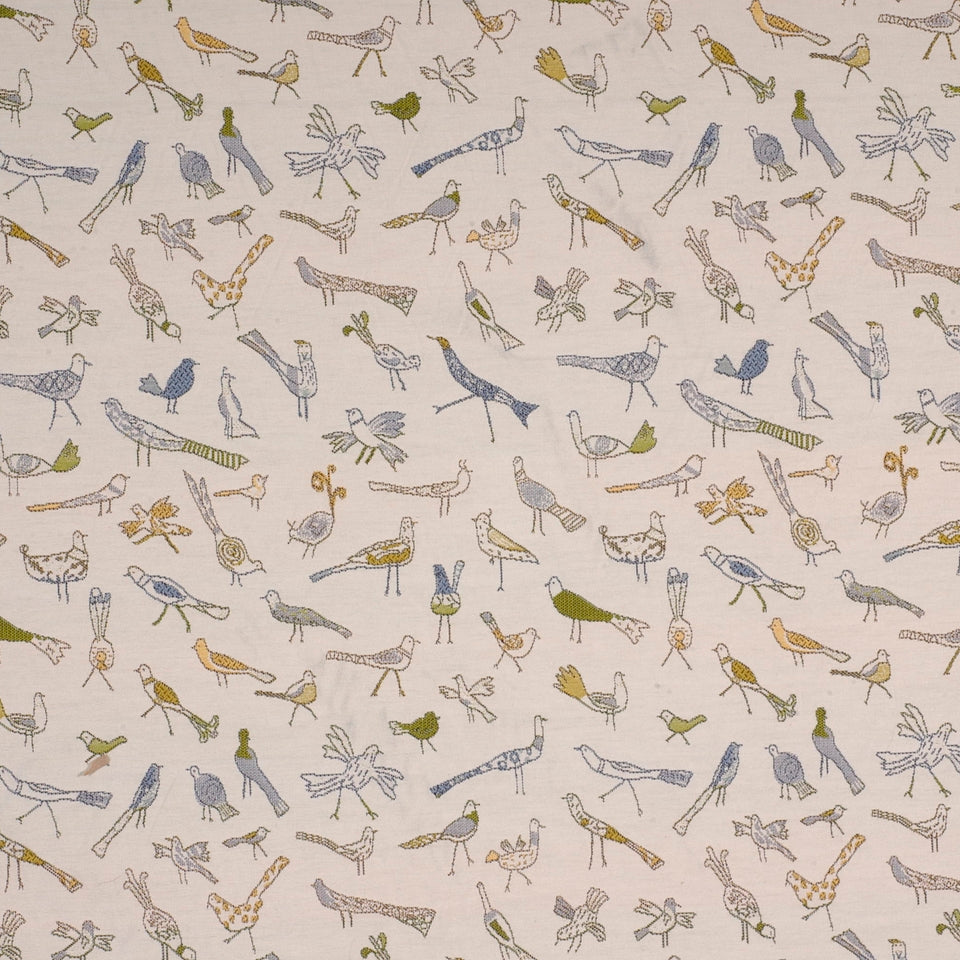 FOR THE BIRDS | PARROT