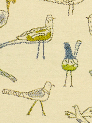 FOR THE BIRDS | PARROT