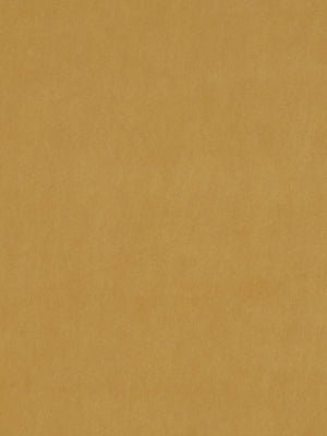 NOVASUEDE | BARLEY - Upholstery - Fabric
