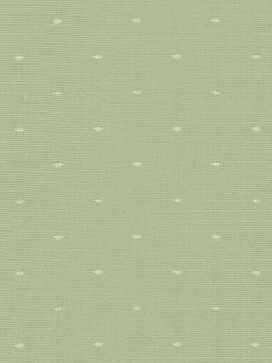 Dashford | Pistachio - Multi-purpose