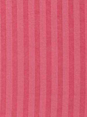 Carlyle | Peony