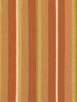 UNIQUE STRIPE | ADOBE
