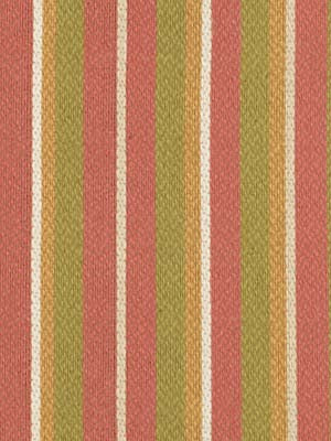 UNIQUE STRIPE | AZALEA