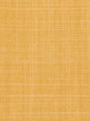 Bonelli | Marigold - Multi-purpose