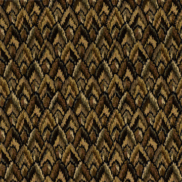 TAIL FEATHERS | EUCALYPTUS
