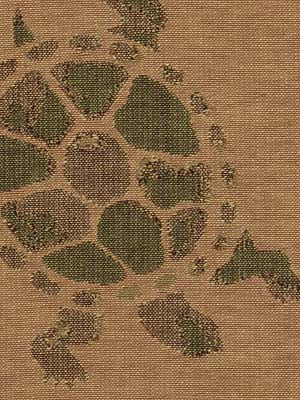 TURTLE LANE | EUCALYPTUS