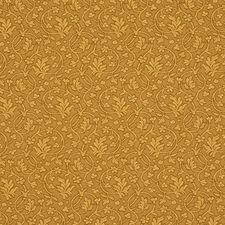 EDWINA | BUTTERSCOTCH