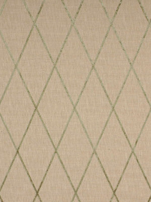 STAR SEARCH | PATINA