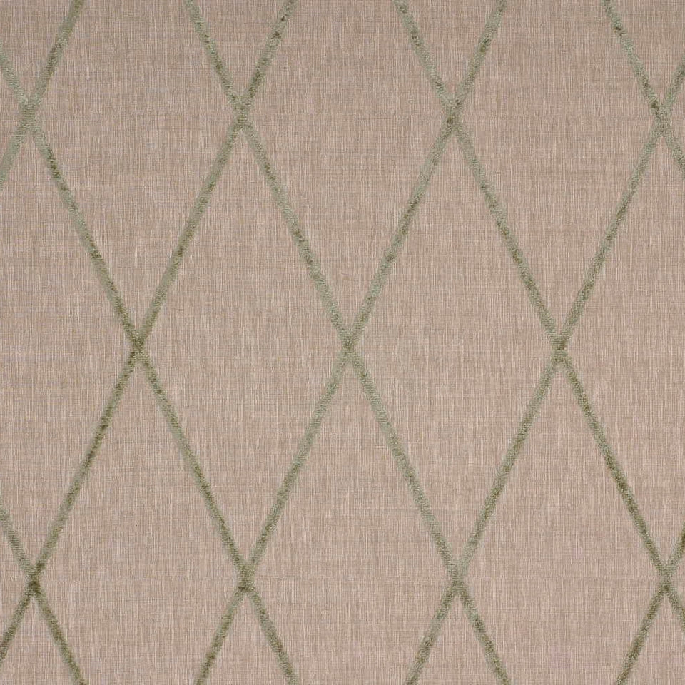 STAR SEARCH | PATINA