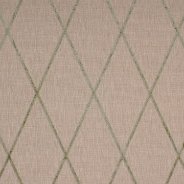 STAR SEARCH | PATINA