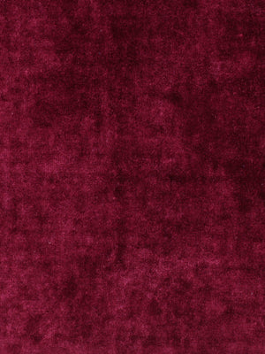 Radiant Velvet | Mulberry