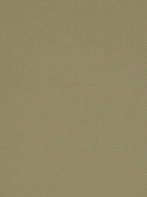 Galimatias | Avocado - Upholstery - Fabric