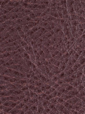 TUSCULUM | BISON - Upholstery - Fabric