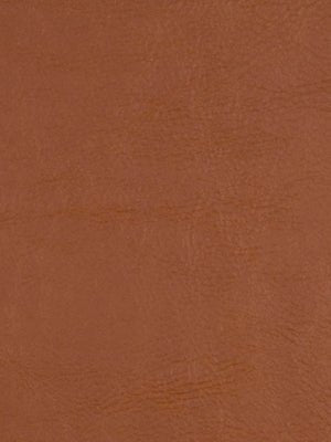TUSCULUM | TEAK - Upholstery - Fabric