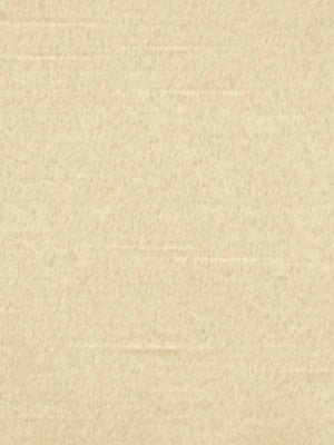 SATIN LUSTRE | BONE - Drapery - Fabric