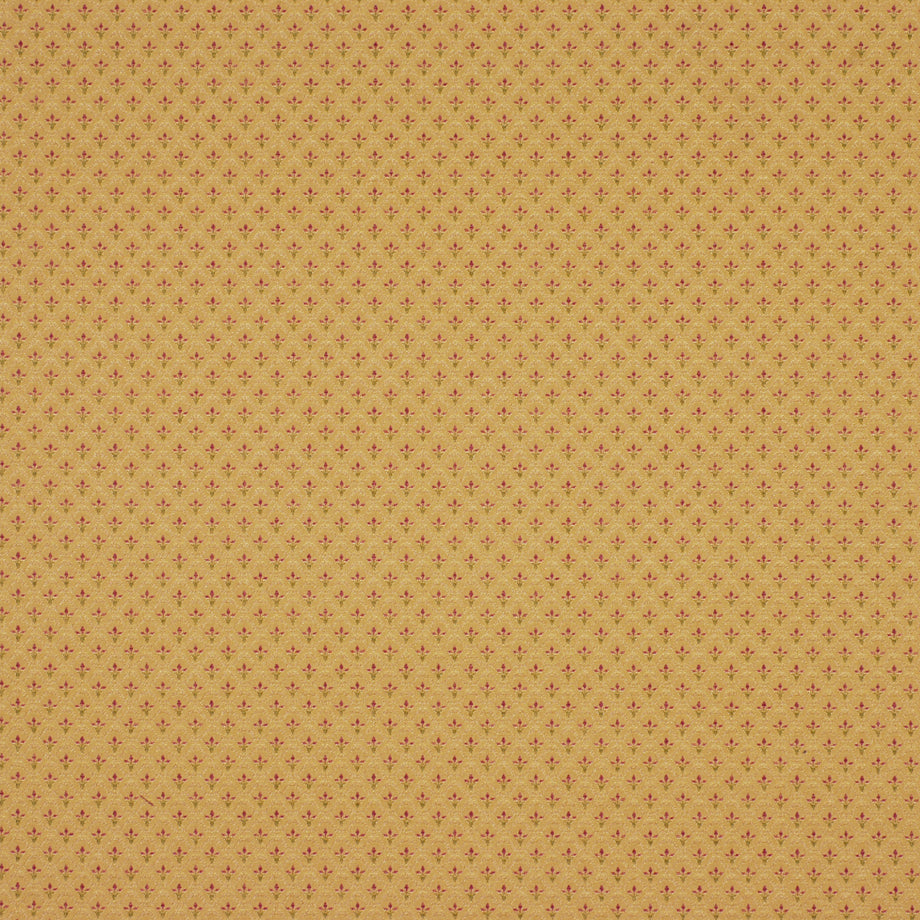 SWEET JANE | NUTMEG