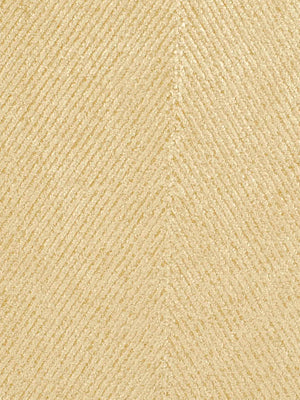 Woodburn Bk | Camel