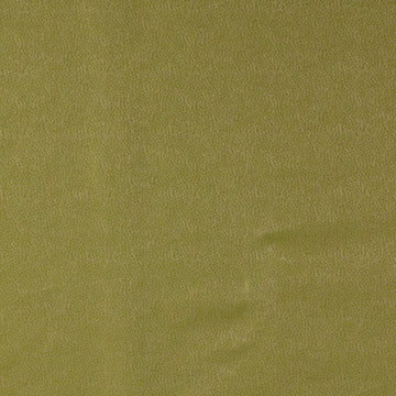 KIM CRACKLE | CELERY
