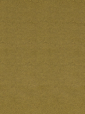 KIM CRACKLE | CACTUS