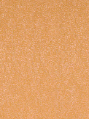 KIM CRACKLE | PERSIMMON