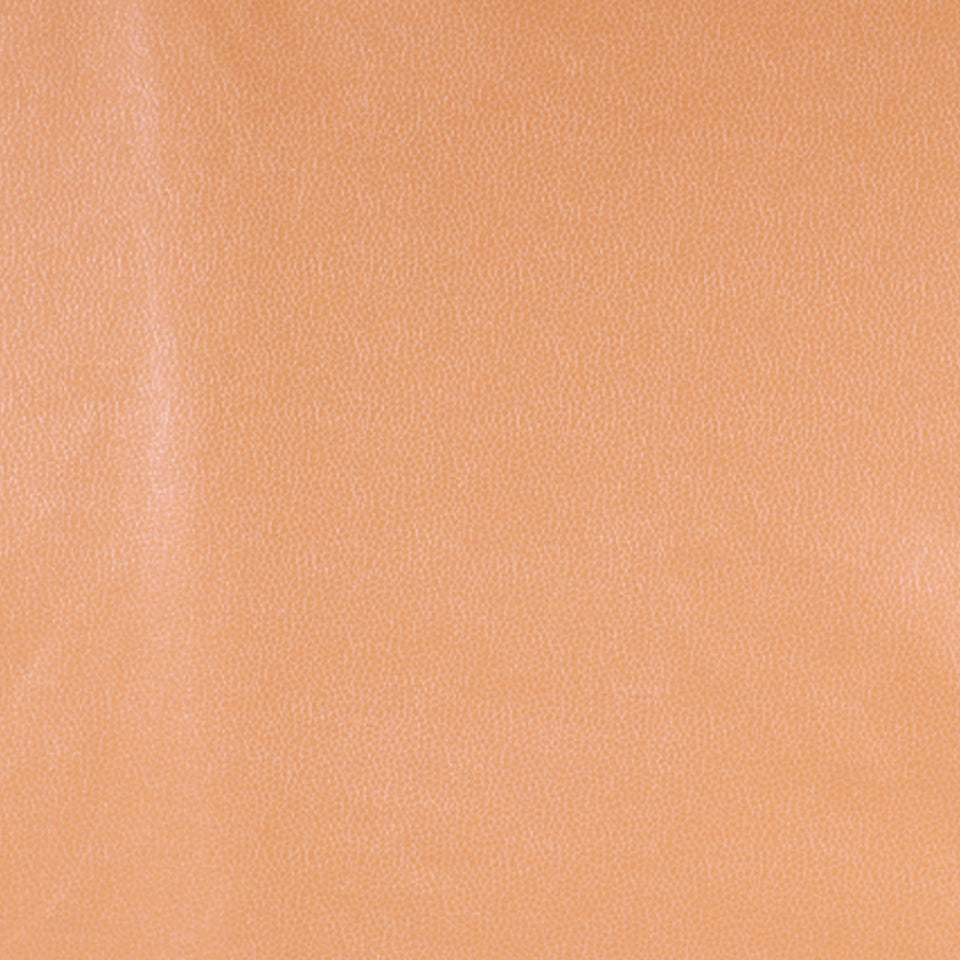 KIM CRACKLE | PERSIMMON