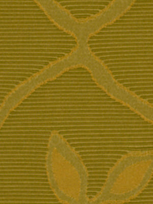 Tradewinds | Olive