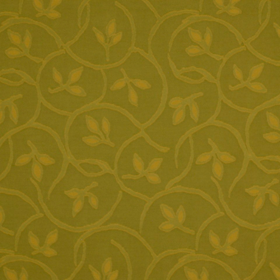 Tradewinds | Olive