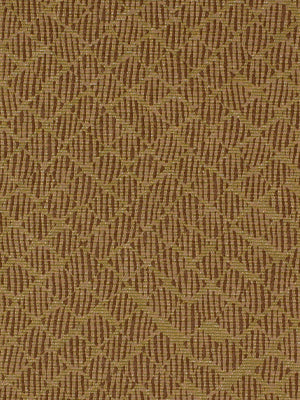 CLANDESTINE | CACTUS