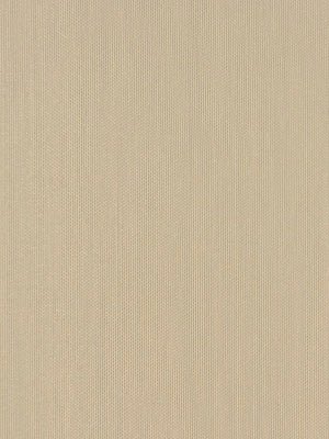 TINTED BATISTE | CEMENT - Drapery - Fabric