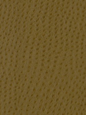 BABY OSTRICH | CASHEW - Upholstery - Fabric
