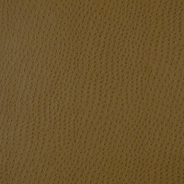 BABY OSTRICH | CASHEW - Upholstery - Fabric