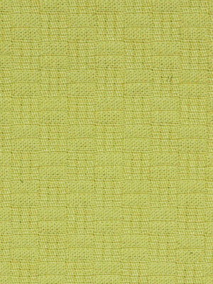 Wicker | Citron