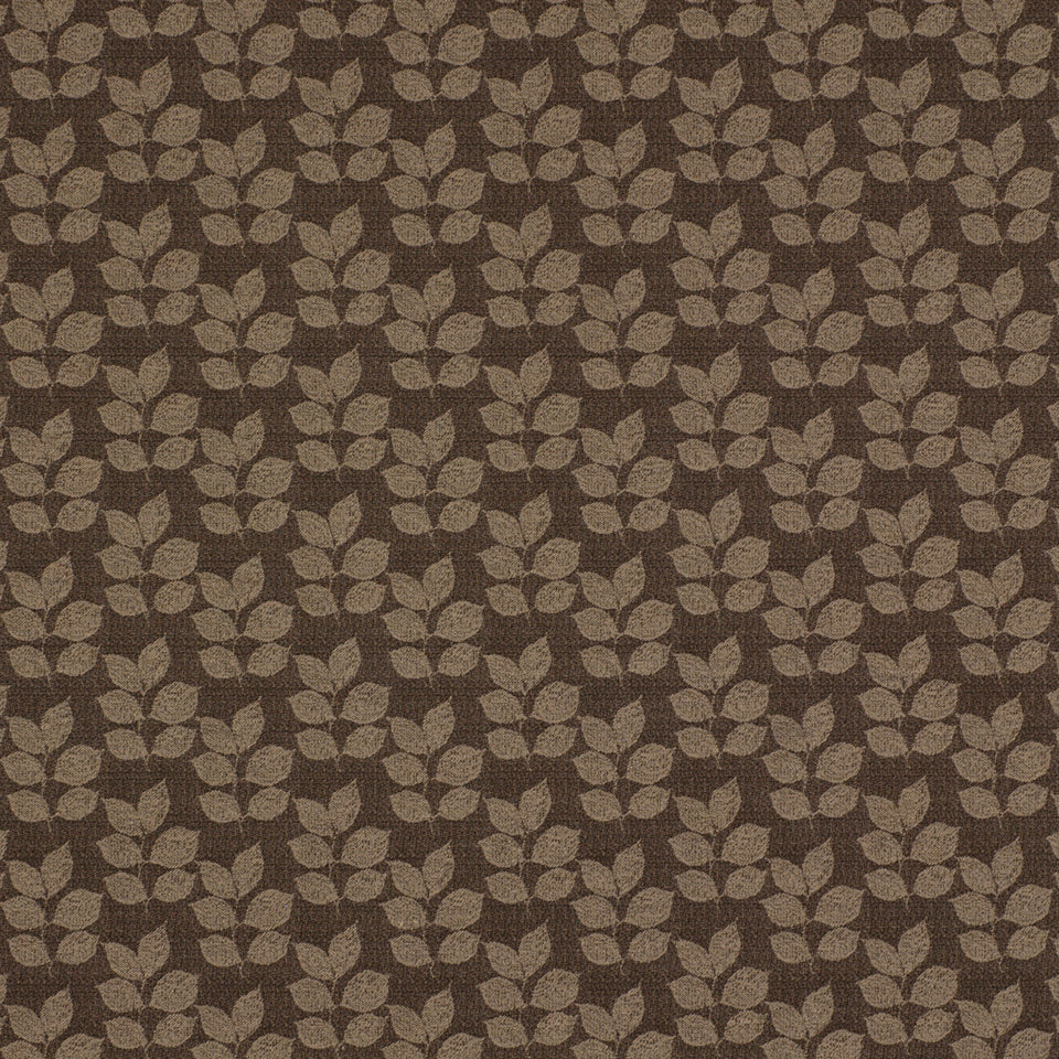 BOTANY | JAVA