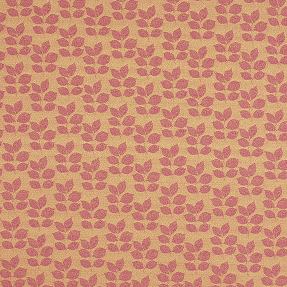 BOTANY | TEABERRY