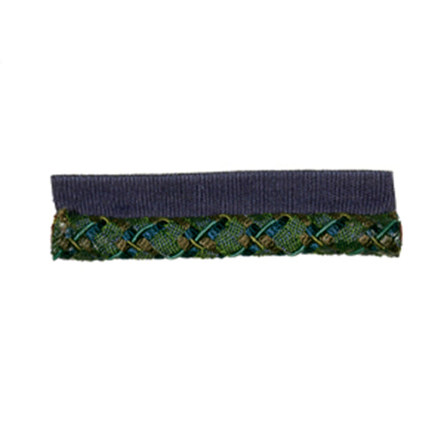 Library Ribbon | Peacock