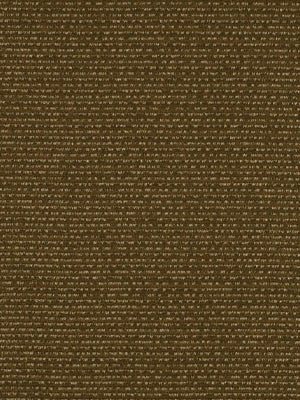 Larne | Walnut - Multi-purpose