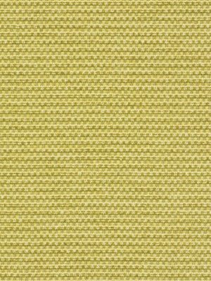 EVETTA | PEAR - Upholstery - Fabric