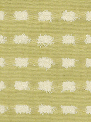 CONCISE | CELERY