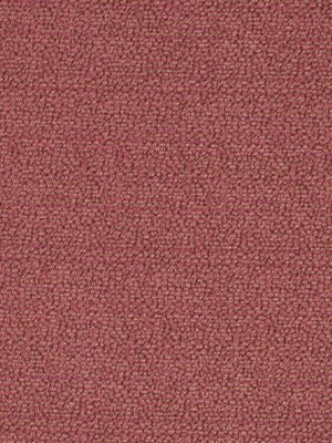 Comets Run | Raspberry - Upholstery - Fabric