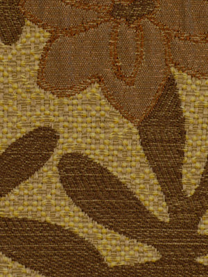 PETAL SPLASH | PECAN