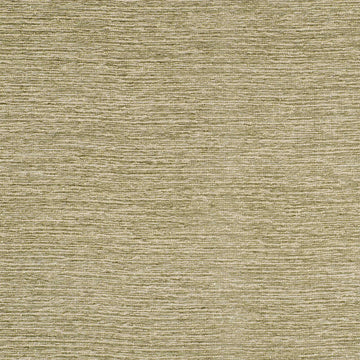 TRANQUIL LINES | SAGE